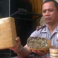 Ganja Kering 2,6 Kg Diamankan