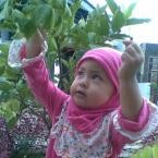 Rengganis Putri Kunaifi, 1,6 Tahun; Perempuan; f
