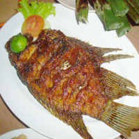 Sedap Gurih Si Gurame Bakar