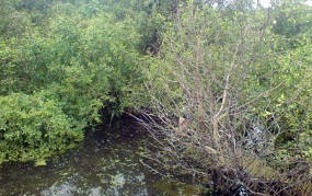 Sulitnya Menjelaskan Bahaya Perubahan Iklim