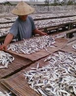 Optimalisasi Potensi Laut Melalui Sistem Informasi 