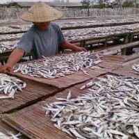 Optimalisasi Potensi Laut Melalui Sistem Informasi 