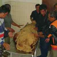 Pesta Miras Berujung Duel, 1 Orang Tewas