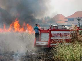 Alang-alang Terbakar, Sekolah di Buduran Sempat Panik 