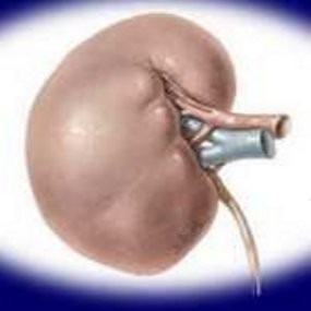 Ide Muncul dari Celetukan Teman