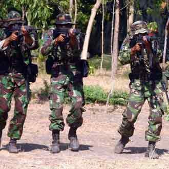 Marinir RI dan AS Latihan Bareng