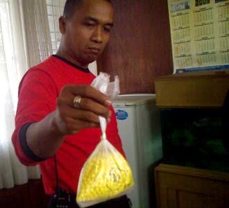 Ribuan Pil Dextro Diselundupkan via CD
