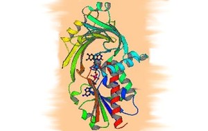 Macroamylasemia