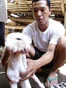 Warga yang Penasaran Disodori Kotak Amal