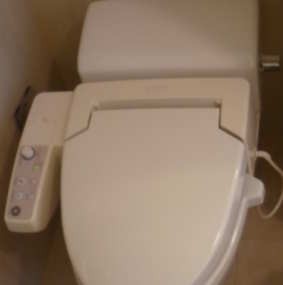 Terima kasih Telah Memakai Saya...