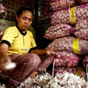 Suplai Menurun, Harga Bawang Putih di Bandung Naik