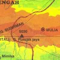 4 Nama Penumpang Pesawat Polri Yang Hilang di Papua