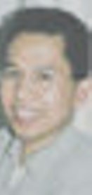 Marty, Havas, dan Dino 