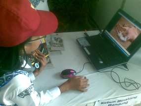 Iiih...Puluhan Siswa SD Bergidik Lihat Unta Dilahirkan