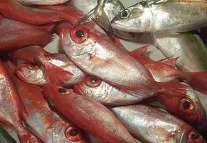 Pilihan Ikan yang Aman untuk Ibu Hamil