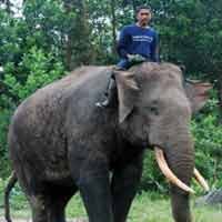 Bondan dan Linda Dititipkan di Taman Safari