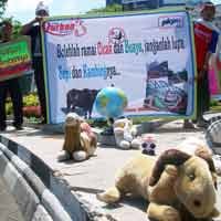 PKPU Jatim Ingatkan Masyarakat Berqurban