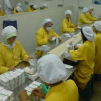 Laba Enseval Naik 13,22%