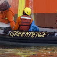 11 WNA Aktivis Greenpace Dideportasi dari Riau