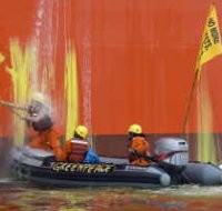 Polisi Tangkap Wartawan Asing Saat Hendak Meliput Greenpeace 