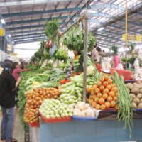 Tips Belanja Sehat dan Hemat!