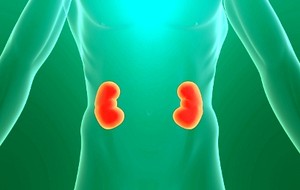 Urophaty Obstruktif