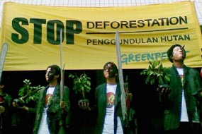 Janji Kurangi Emisi, SBY Ditagih Greenpeace