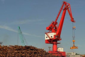 Gantung Badan di Crane, Bekal Makanan Aktivis Greenpeace Diturunkan Polisi