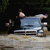 Belalai Penerjang Banjir