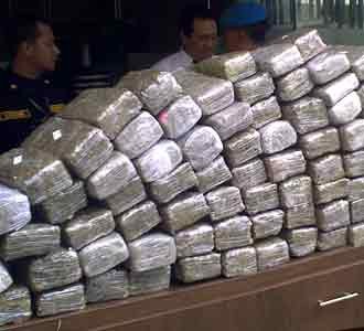 Ratusan Kg Ganja Disita