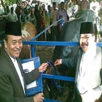 Soekarwo Serahkan Sapi Paling Gemuk 