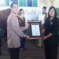 Sapi Kurban di Mojokerto Masuk MURI 