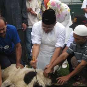 Heryawan Imbau Distribusi Daging Kurban Agar Lebih Merata