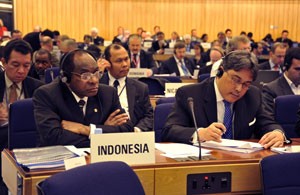 RI Terpilih Kembali Sebagai Anggota Dewan IMO