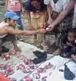 Kurban Sebagai Wujud Cinta Kemanusiaan