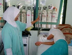Ibu dan Dua Anaknya Keracunan Setelah Makan Jamur 