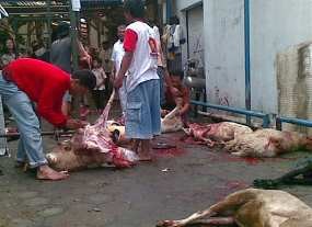 Beberapa Wilayah di Bandung Sembelih Hewan Kurban Hari Ini