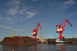 Greenpeace: Kampanye di Riau Untuk Bantu RI Selamatkan Hutan