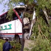 Kritis, Korban Bus Akas Tabrak Pohon Asam Dirujuk ke Surabaya