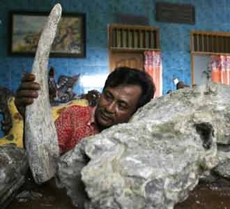 Fosil Gajah Purba di Bojonegoro