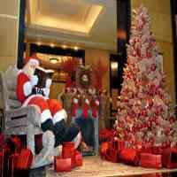 Pohon Natal Loli Pop dan Konser Tata Young
