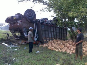 Truk Muatan Kelapa Terbalik di Tol Bunder