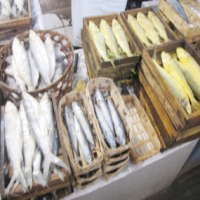 Gurih Lezat Si Ikan Bandeng 