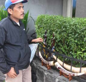 Modal Rp 80 Ribu Kembali Rp 300 Ribu 