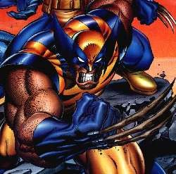 Datangkan Wolverine, Dufan Rogoh Kocek Rp 10 Miliar