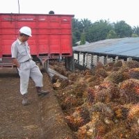 Putus Kontrak Dengan Sinar Mas, Unilever Pilih Dengar Tetangga Sebelah