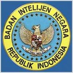 BIN Harus Klarifikasi Pernyataan Ruhut