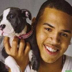 Chris Brown Ikuti Jejak Luna Maya