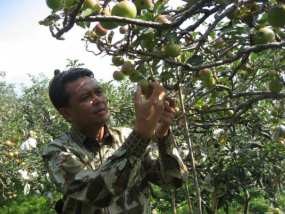 Ikut Tur Sepeda, Bupati Bantaeng Berdarah-darah