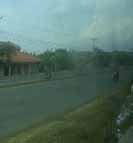 Hijaukan Sepanjang Ruas Jalan Pantura Cirebon